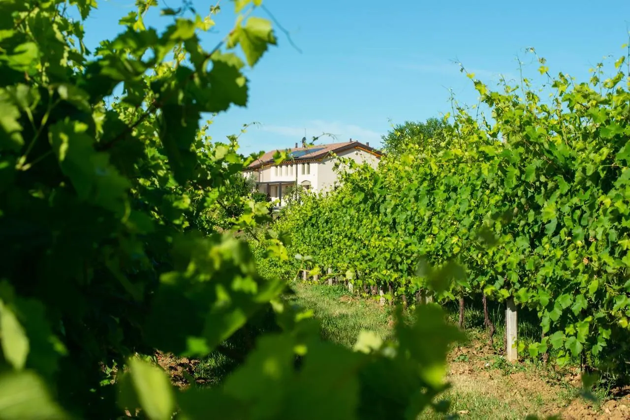 Villa Relais La Dolce Vite San Vendemiano 0*,